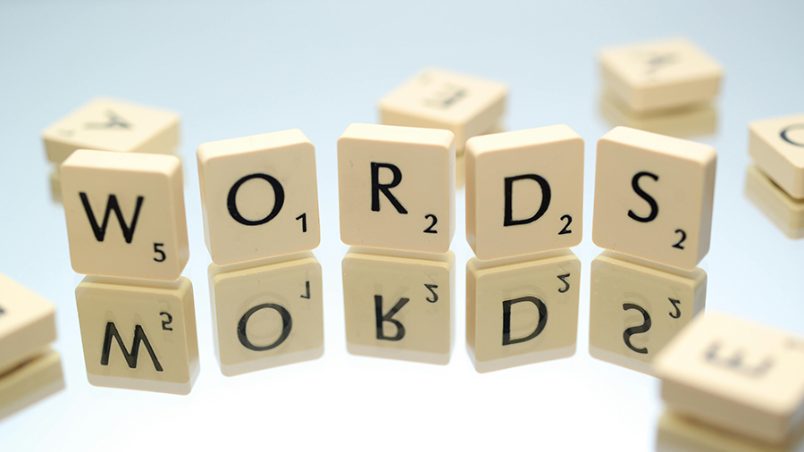 The Power of Language by Mina Drever