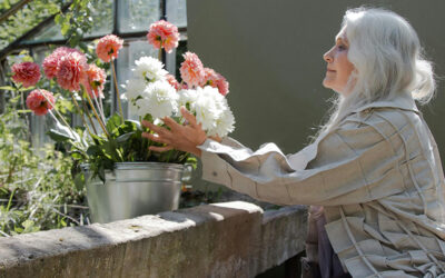 December 2024 Post – What is Dementia?